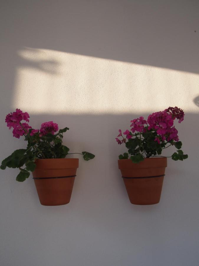 Suites 9 Malaga, Three Unique Suites With Private Plunge Pool Eksteriør billede